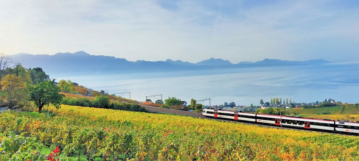 Train traveling through lush green European countryside